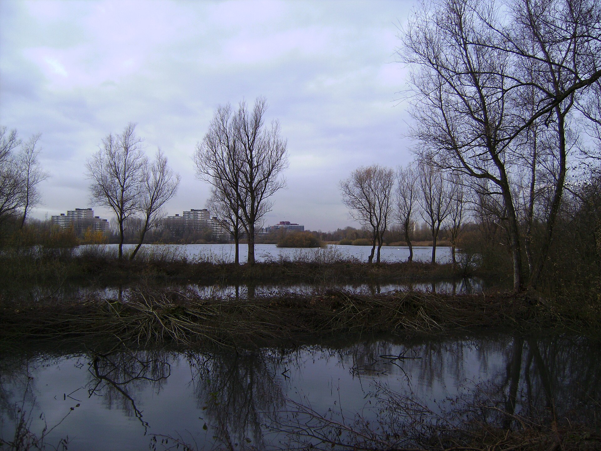 De groene omgeving en het water van Park Immerloo in Arnhem-Zuid